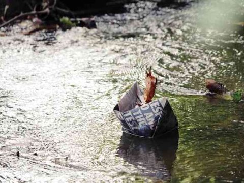 Thank you for registering to the IfG newsletter – Mar 15 2026 Thank you for registering to the IfG newsletter – Mar 15 2026