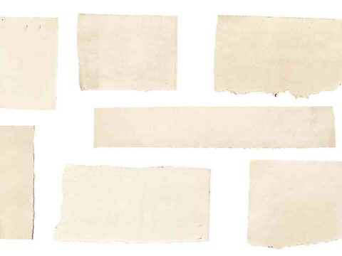 Sleep Guide Day 1: What sleep does | Diet tips to rest easy – Mar 15 2026 Sleep Guide Day 1: What sleep does | Diet tips to rest easy – Mar 15 2026