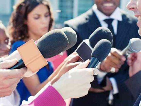 A lily variety safe from the lily beetle – Mar 15 2026